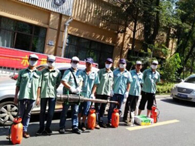 多年行業(yè)經驗 專業(yè)防治工程隊伍